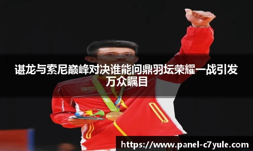 谌龙与索尼巅峰对决谁能问鼎羽坛荣耀一战引发万众瞩目